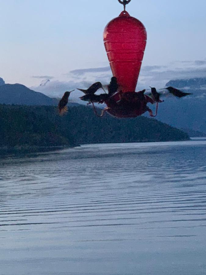 Earls Cove Orca View Bed and Breakfast Egmont Exteriör bild